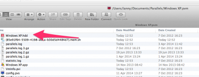 _Users_lanny_Documents_Parallels_Windows_XP_pvm_and_Skype.png